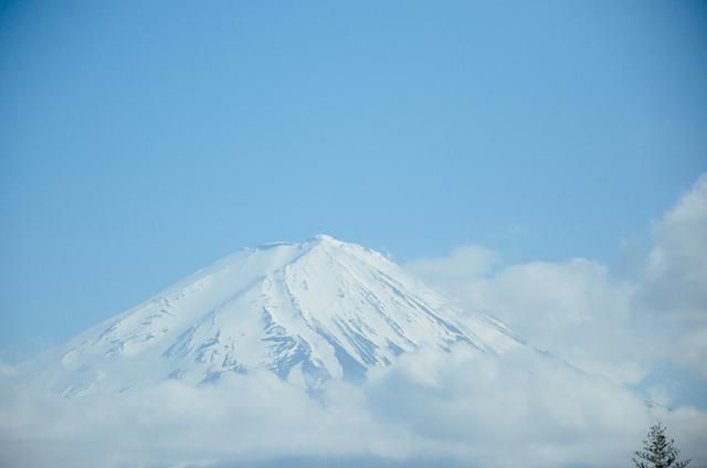 八星报喜1988 粤语版