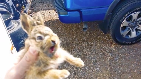 养鬼吃人3：地狱之城