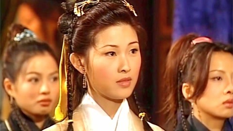 养家之人（国语版）