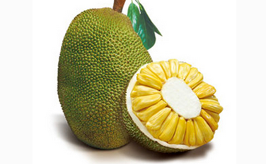 内特的梦想剧院