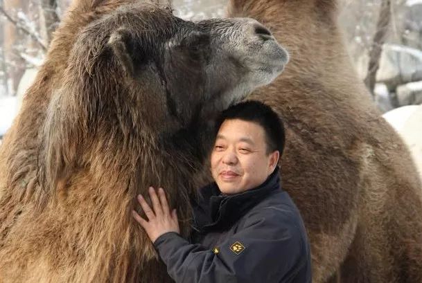 养蜂人（普通话版）