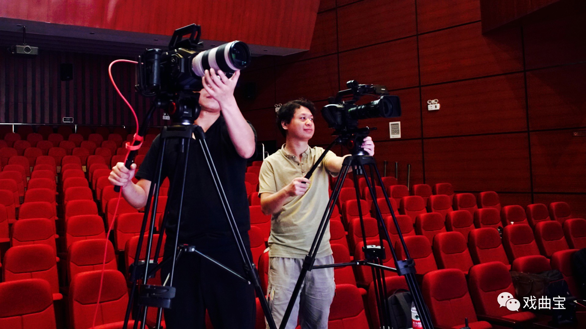 八面玲珑的申小姐